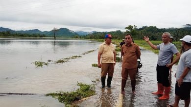 Bencana Banjir Wilayah Bolmut