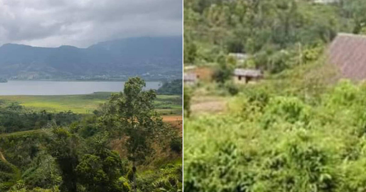 Kokapoi di Masa Depan