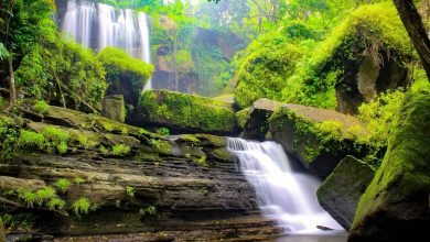 Air Terjun Sarang Burung