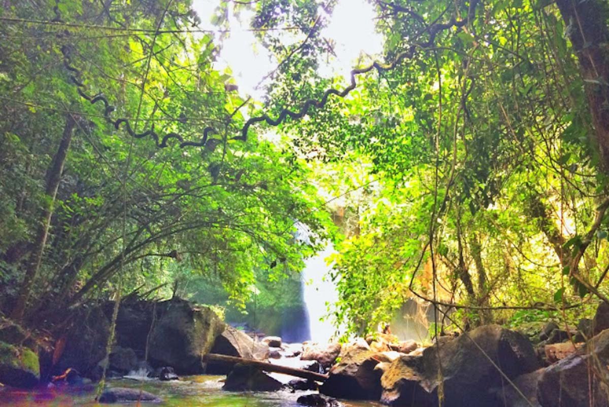 Air Terjun Sendowan