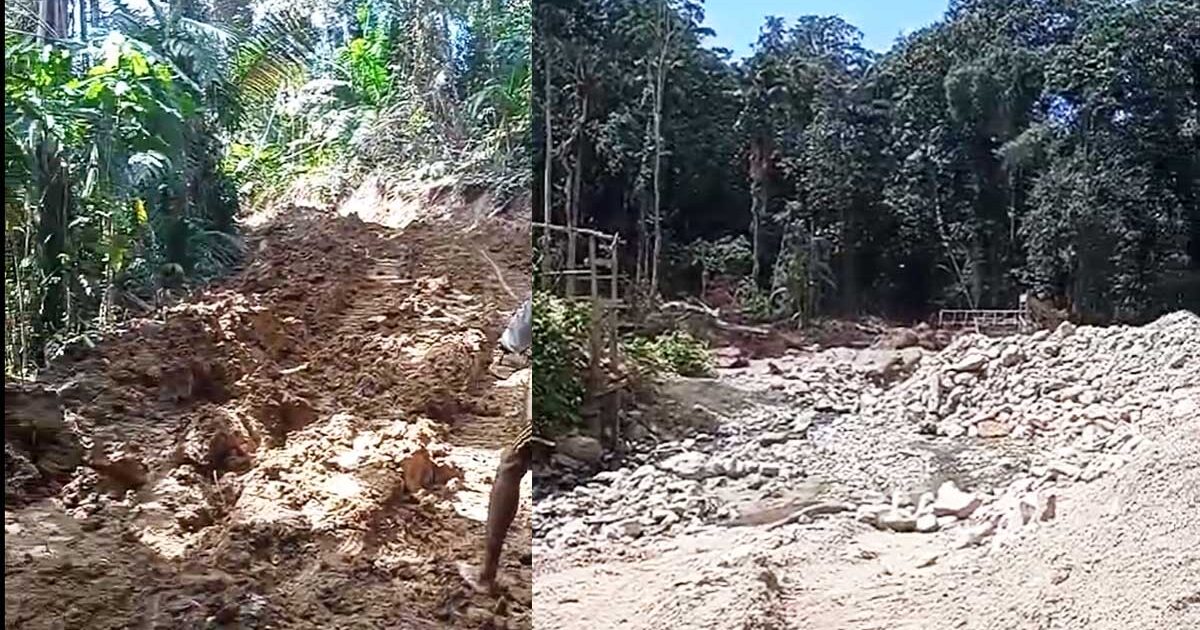 Polemik PETI di Kawasan Hutan Bintauna