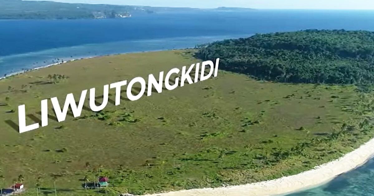 Pulau Liwutongkidi