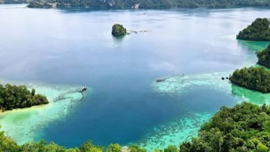 Pulau Bintang Tolala