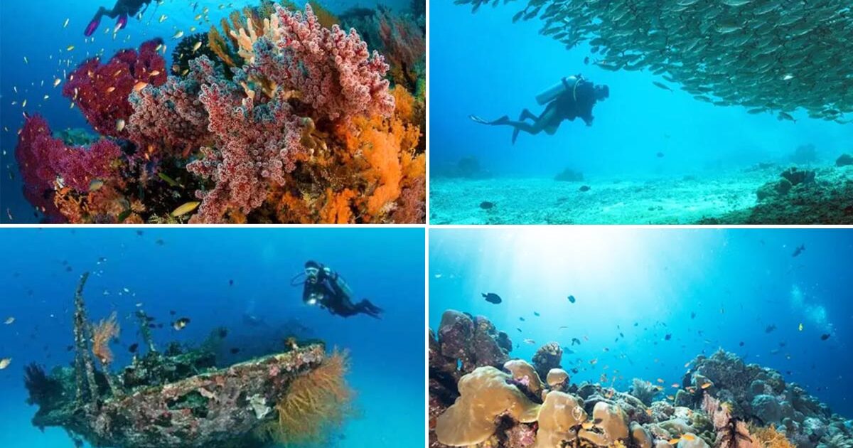 Spot Diving Raja Ampat