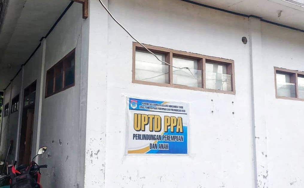 Kekerasan terhadap Perempuan dan Anak 2024