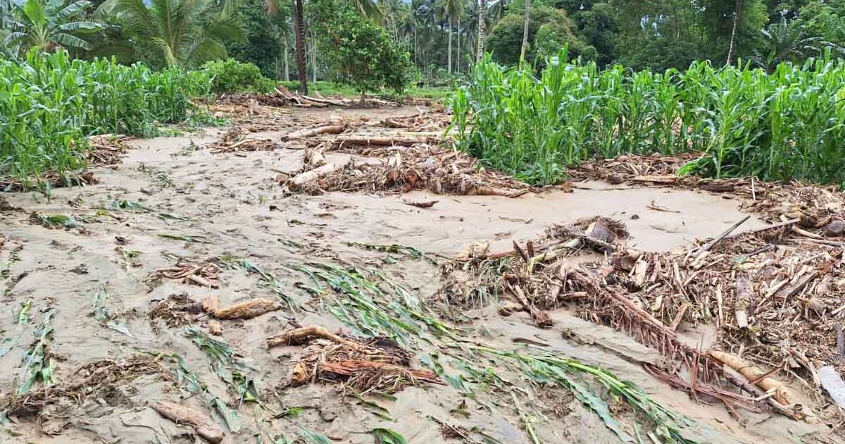 Banjir di Bolmong Rusak Lahan Pertanian