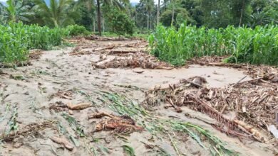 Banjir di Bolmong Rusak Lahan Pertanian