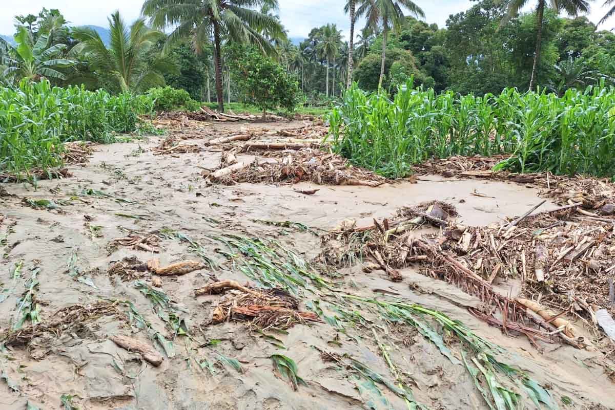 Banjir di Bolmong Rusak Lahan Pertanian