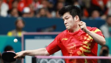 Fan Zhendong Raih Emas di Paris 2024