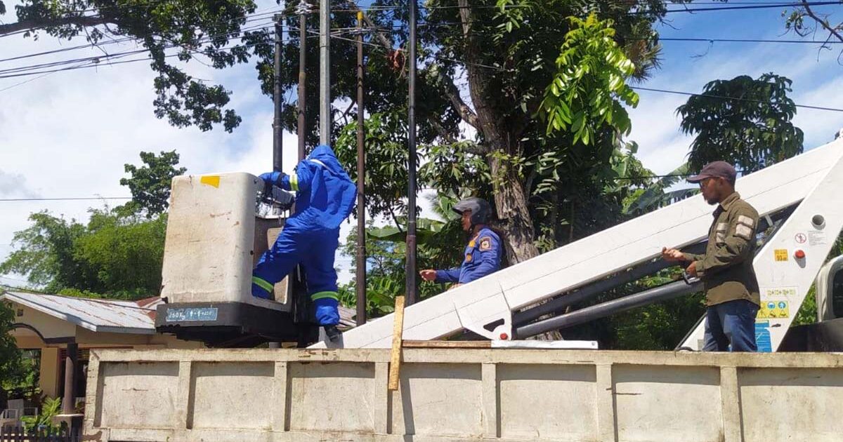Sarang Tawon Resahkan Warga Pentadio Barat