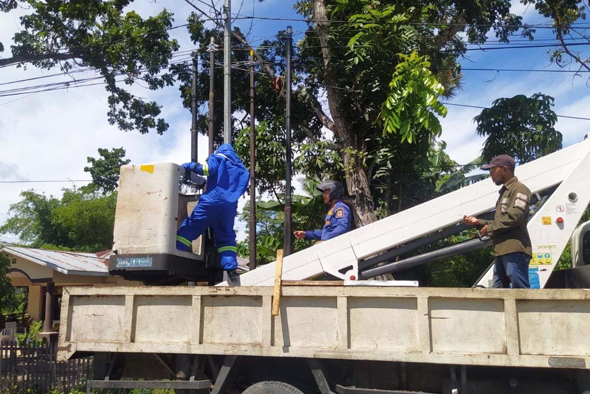 Sarang Tawon Resahkan Warga Pentadio Barat