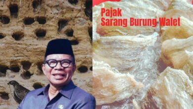 Pajak Sarang Burung Walet Bolmut
