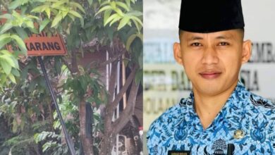 Proyek Rambu Jalan Pemdes Atoga Timur 2023