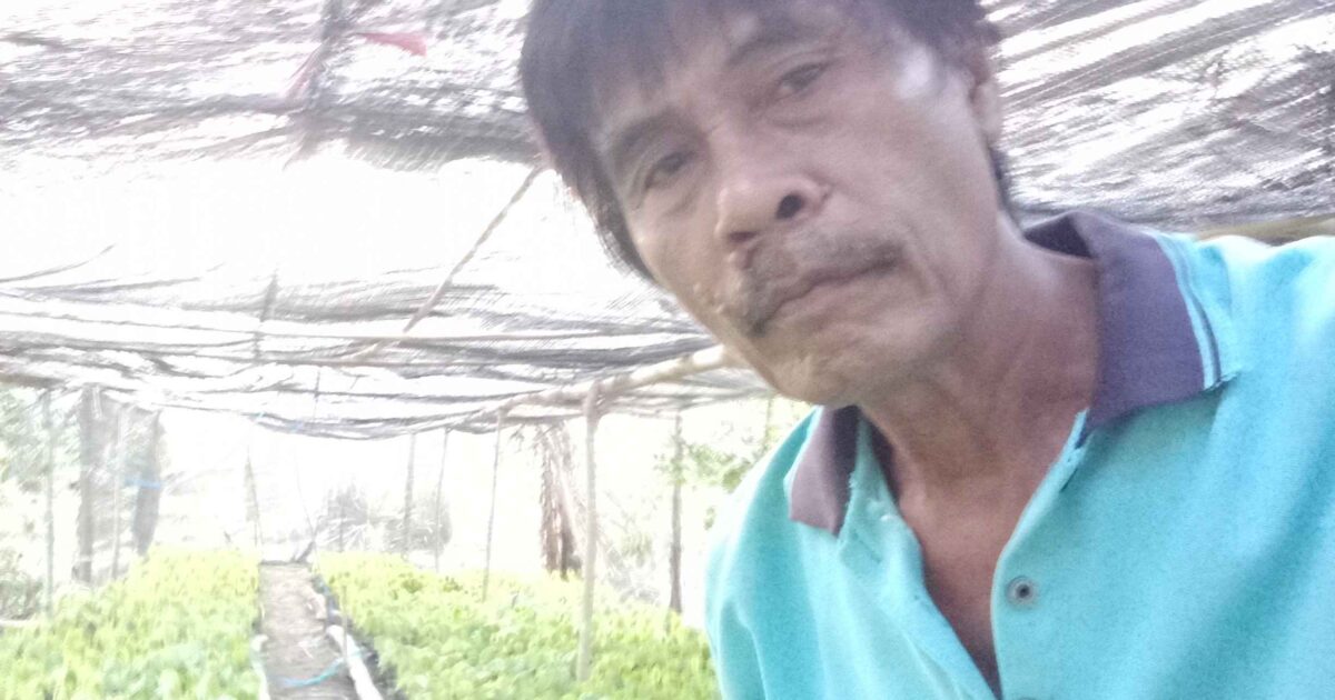 Hamdan Arbie Sibuk Urus Tanaman