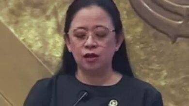 Pengunduran Diri CPNS 2024