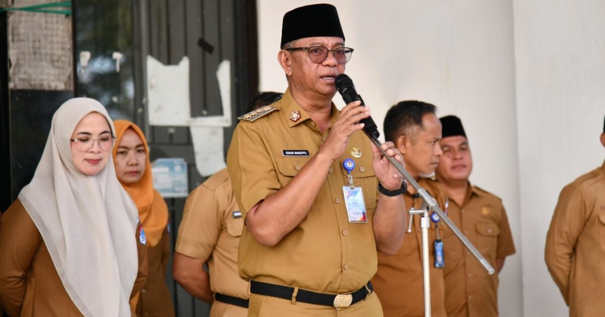 Tim Pemburu Aset