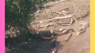 penemuan mayat Biontong I