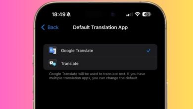 Google Translate iOS