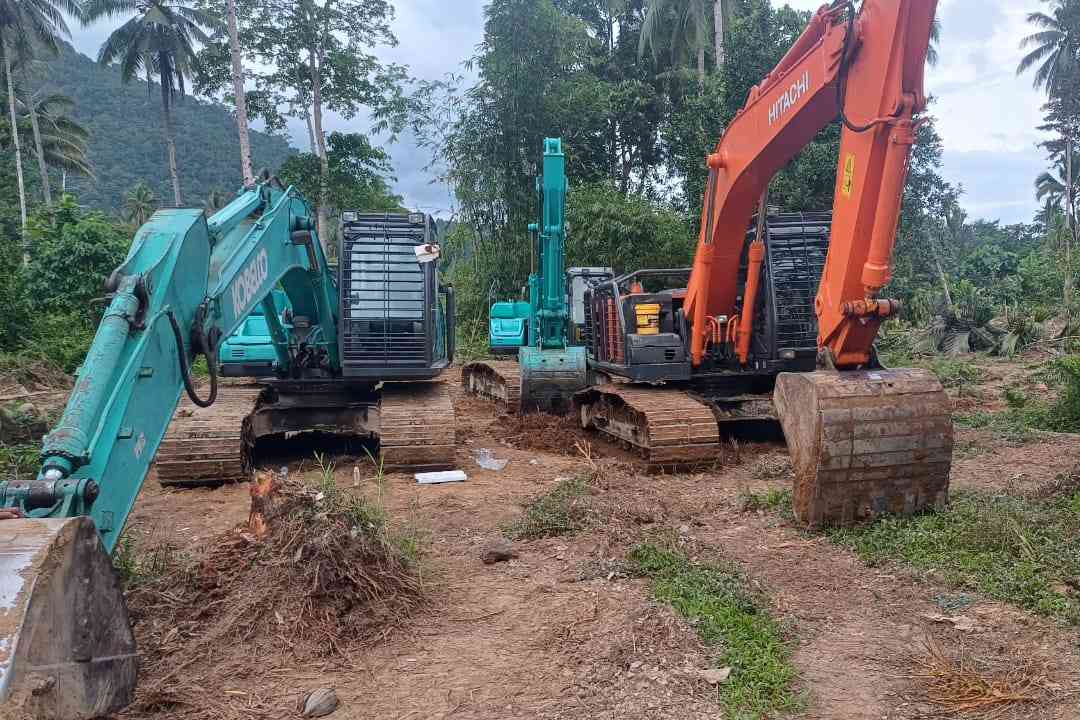 Aktivitas Tambak Udang di Matabulu