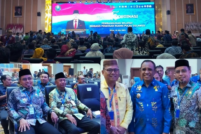 pembangunan wilayah berbasis penataan ruang