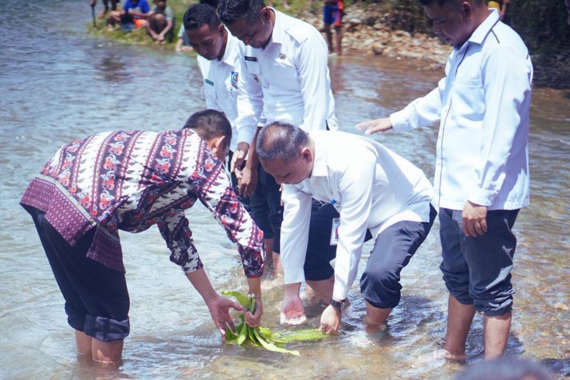 Mandi Safar 1447 H Boltara