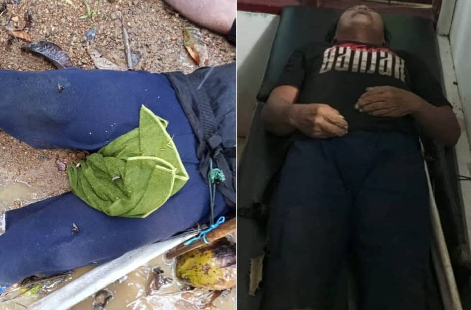 warga Boltim tewas diserang tawon