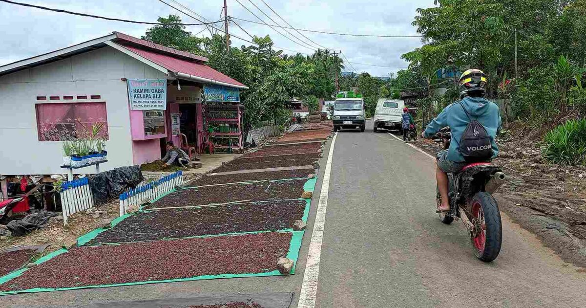 Warga Jemur Cengkih di jalan provinsi Desa Bai Boltim saat panen 2025