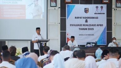 pemotongan TKD Boltara 2026