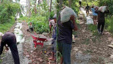 warga Desa Loyow bergotong royong mengecor jalan kebun