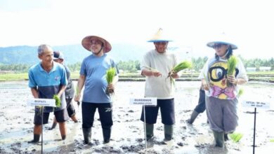 Ketahanan pangan Sulut