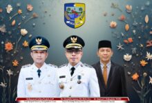 Pelayanan publik Boltara