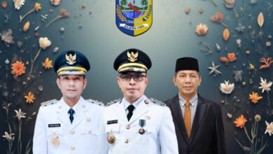 Pelayanan publik Boltara