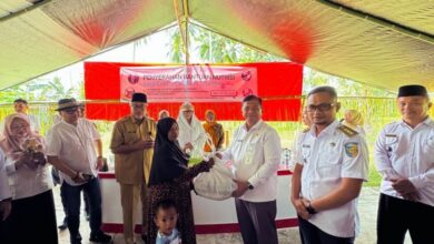 bantuan nutrisi stunting Boltara