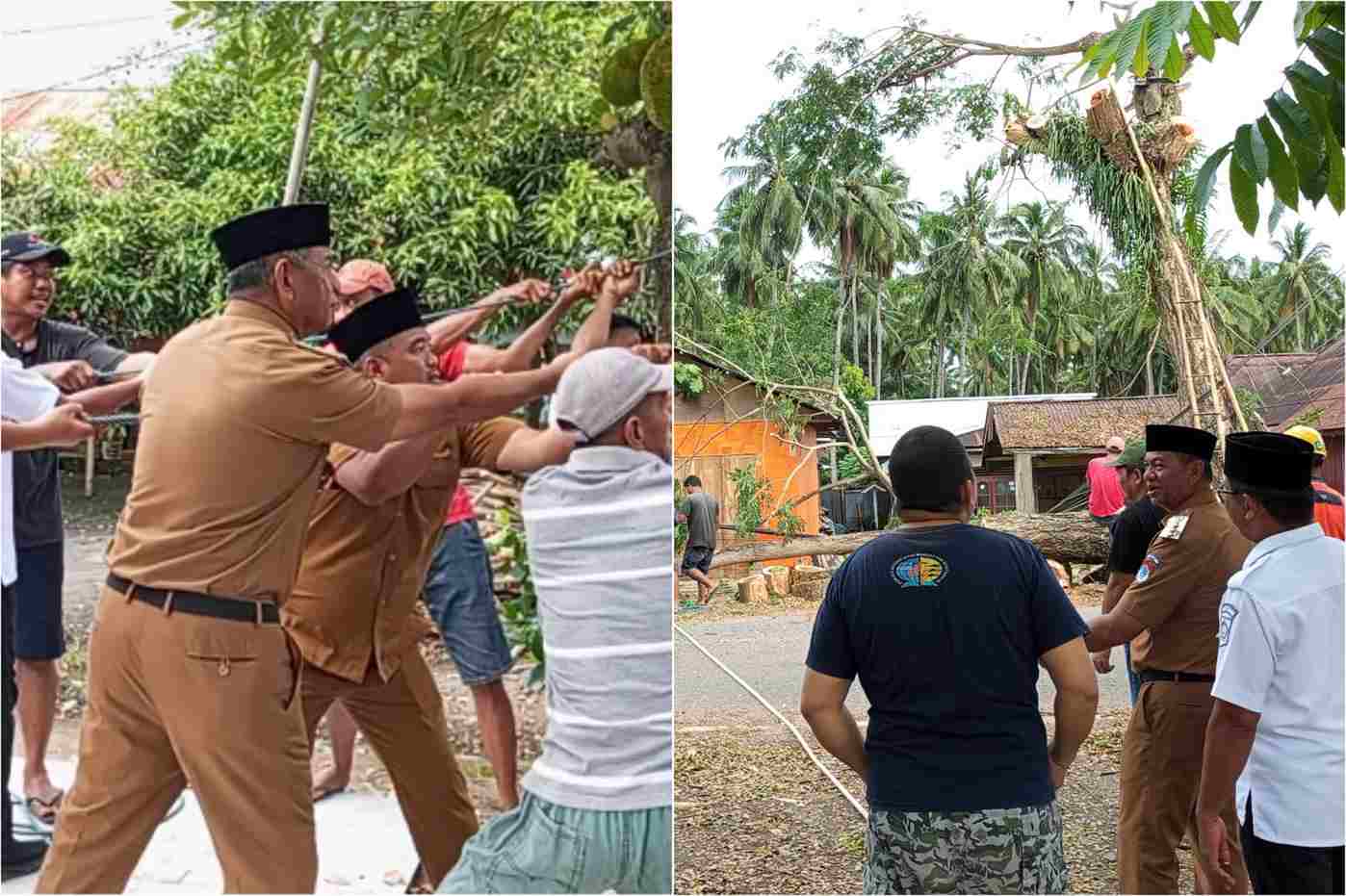 Bupati Boltim Oskar Manoppo ikut serta dalam pemotongan pohon di Tutuyan