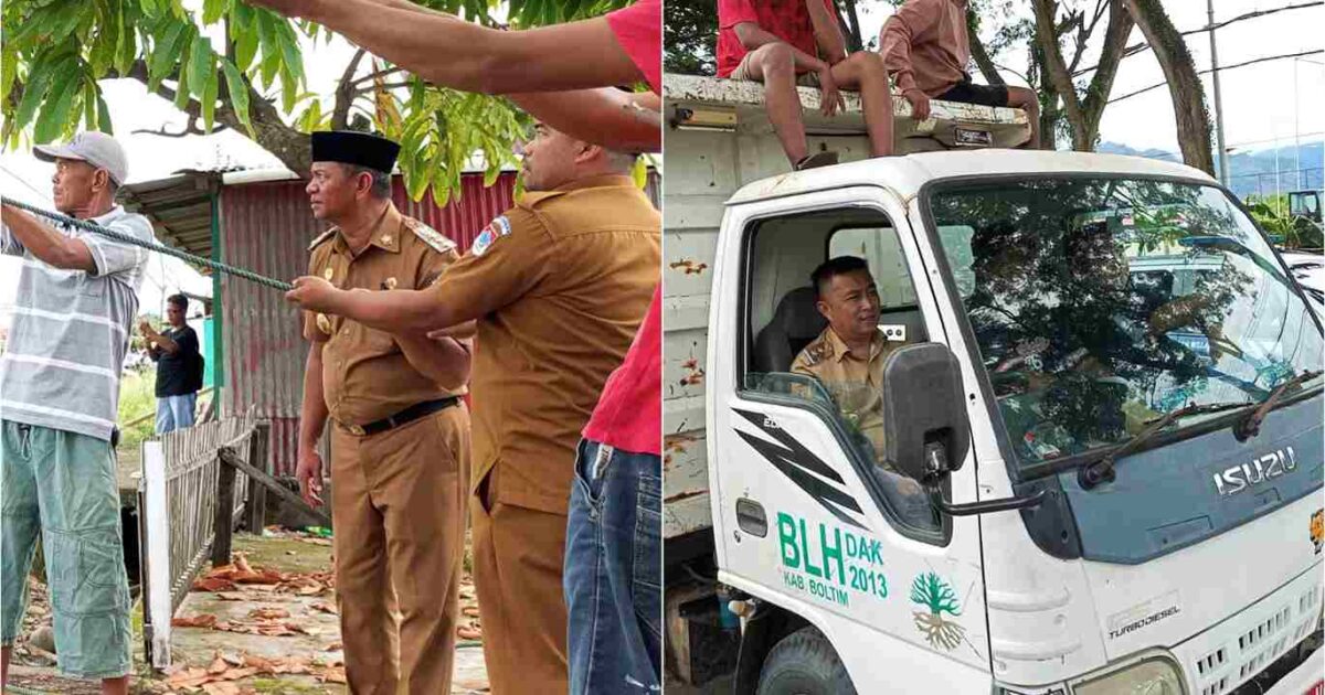 Bupati dan Wakil Bupati Boltim memantau pemangkasan pohon di Tutuyan