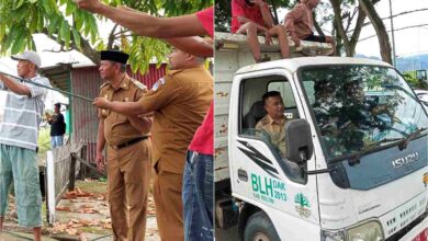 Bupati dan Wakil Bupati Boltim memantau pemangkasan pohon di Tutuyan