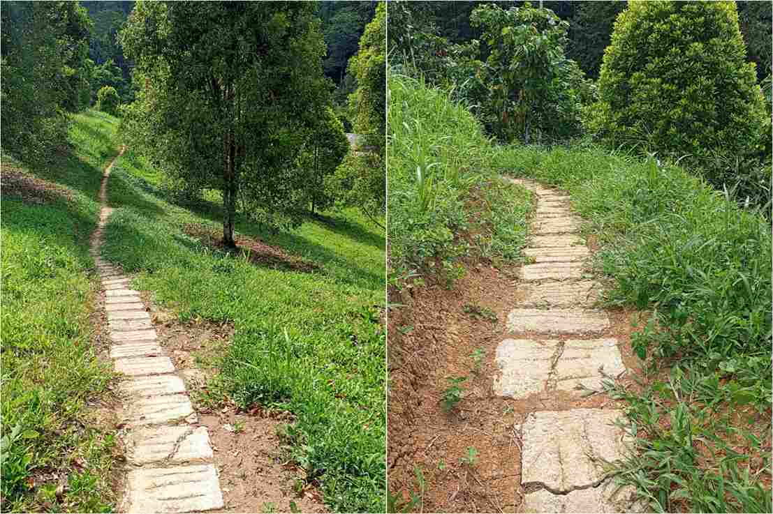 Jalan usaha tani Dana Desa 2025 di perkebunan Ompongan Nuangan Barat Boltim