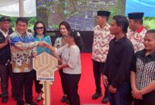 huntap Modisi Bolsel