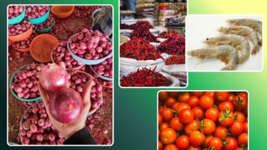 Harga Bahan Pokok Boltara 1447 H