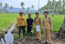 Jalan Usaha Tani Desa Doloduo Tiga