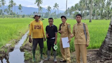 Jalan Usaha Tani Desa Doloduo Tiga