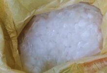 Penyelundupan sianida ilegal di Pelabuhan Bitung