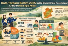 data Boltim 2025
