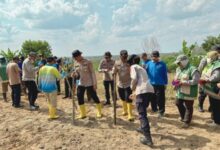 penanaman jagung serentak Polsek Belitang III