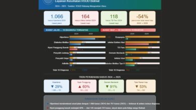 penyakit terbanyak RSUD Bolaang Mongondow Utara
