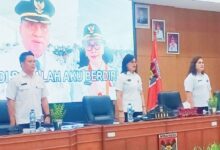 penyusunan LKPJ dan LPPD Minahasa 2025