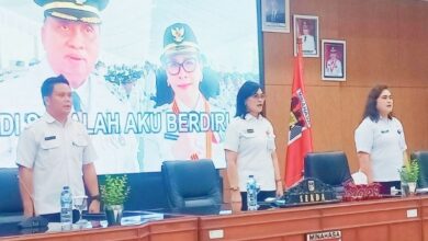 penyusunan LKPJ dan LPPD Minahasa 2025
