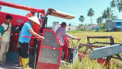 produksi padi dan beras Sulawesi Utara