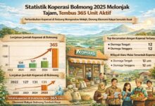 statistik koperasi Bolmong 2025