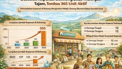 statistik koperasi Bolmong 2025